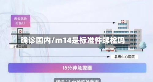 确诊国内/m14是标准件螺栓吗-第2张图片