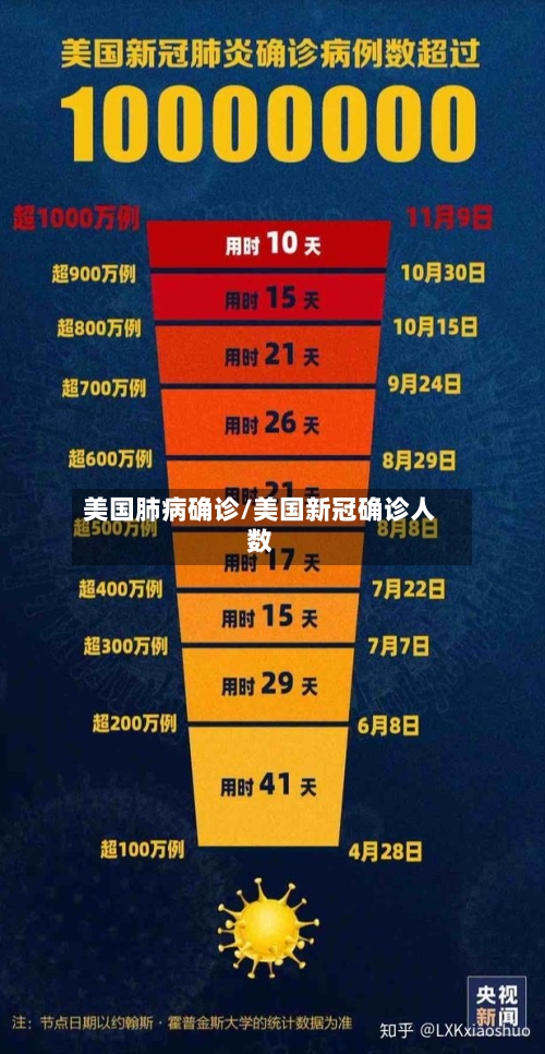 美国肺病确诊/美国新冠确诊人数