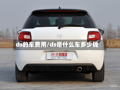 ds的车费用/ds是什么车多少钱