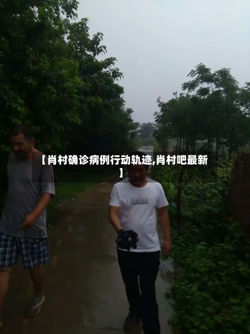 【肖村确诊病例行动轨迹,肖村吧最新】