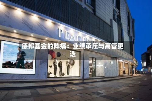 德邦基金的阵痛:业绩承压与高管更迭-第2张图片