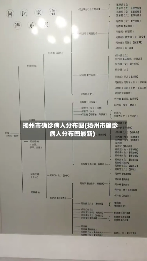 扬州市确诊病人分布图(扬州市确诊病人分布图最新)-第2张图片