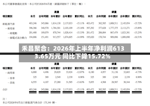 禾昌聚合：2026年上半年净利润6133.65万元 同比下降15.72%