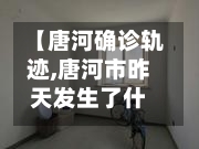 【唐河确诊轨迹,唐河市昨天发生了什么】-第2张图片