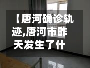【唐河确诊轨迹,唐河市昨天发生了什么】